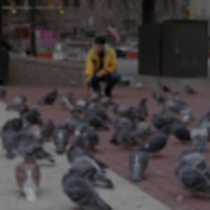 Meet your Posher, Kayenta